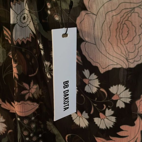 BB Dakota Sheer Blouse - Picture 6 of 7